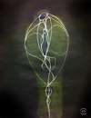 Aliens - Copyright Nils Neumann - NN-art