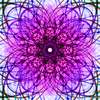 Synomone 3 - Copyright Nils Neumann - NN-art
